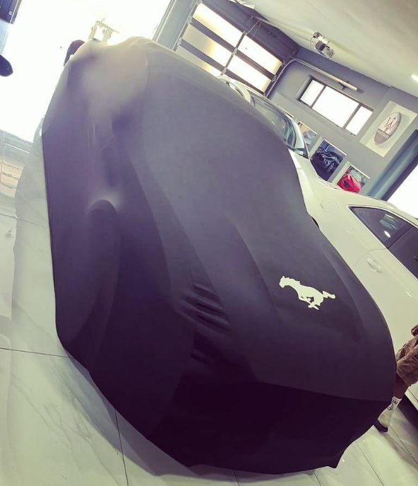 FORD MUSTANG CONVERTIBLE 1 (1964-1967) Car Cover Stretch and Elastic For All Model