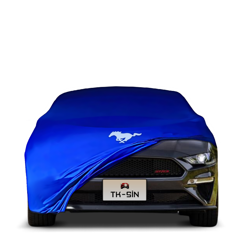 Ford Mustang 6 (2015-2023)