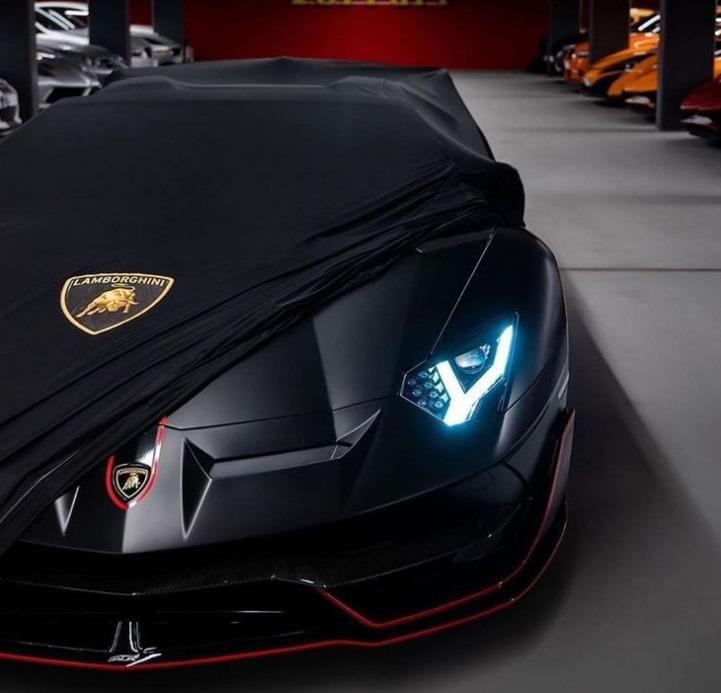 Lamboghini Indoor Car Cover Stretch and Elastic For All Model