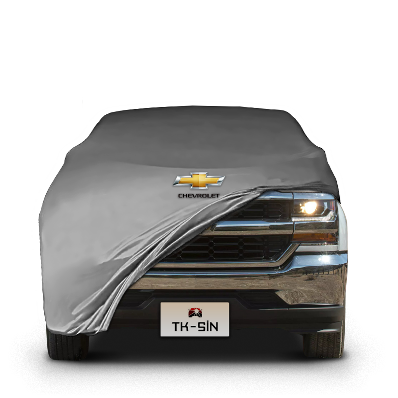 Chevrolet Silverado 1500 Regular Cab 3 Long Box