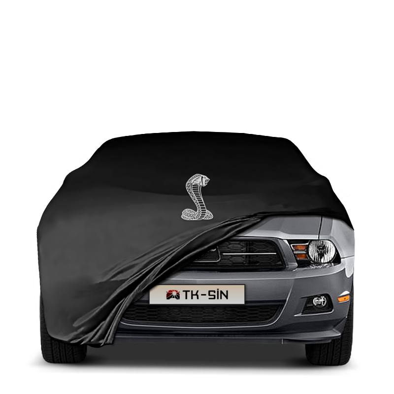 Ford Mustang 5 (2004-2012)