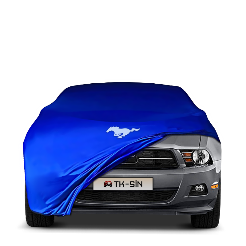 Ford Mustang 5 (2004-2012)