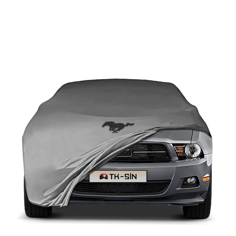 Ford Mustang 5 (2004-2012)