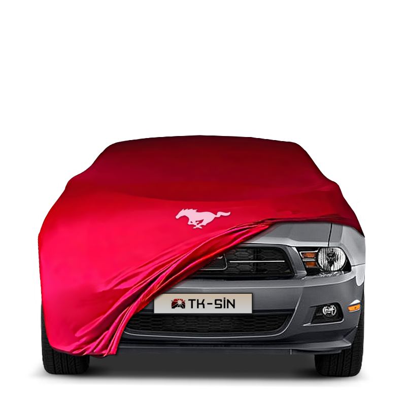 Ford Mustang 5 (2004-2012)