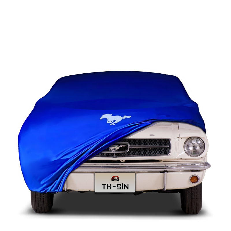 Ford Mustang Convertible 1 (1964-1967)