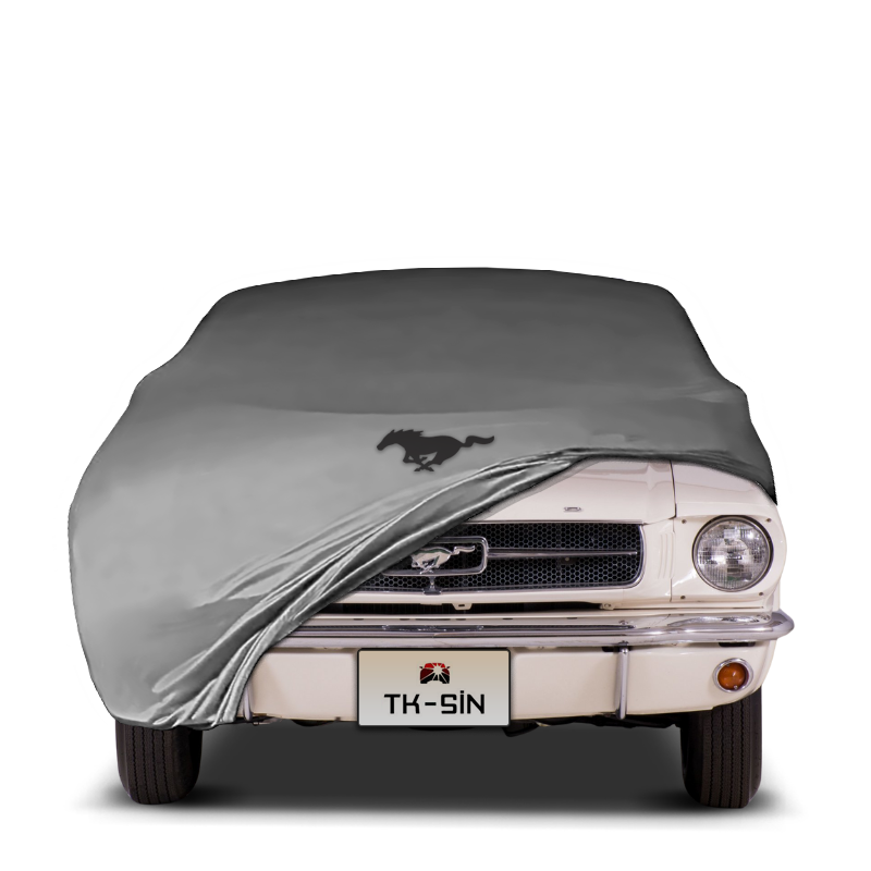 Ford Mustang Convertible 1 (1964-1967)