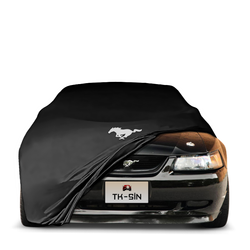 Ford Mustang Convertible 4 (1993-2005)