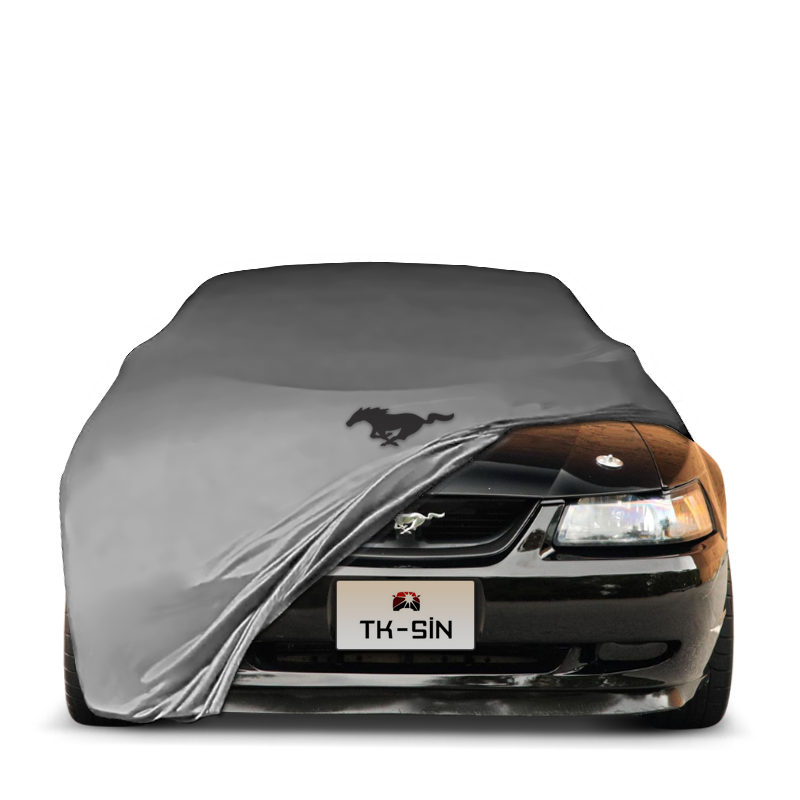 Ford Mustang Convertible 4 (1993-2005)