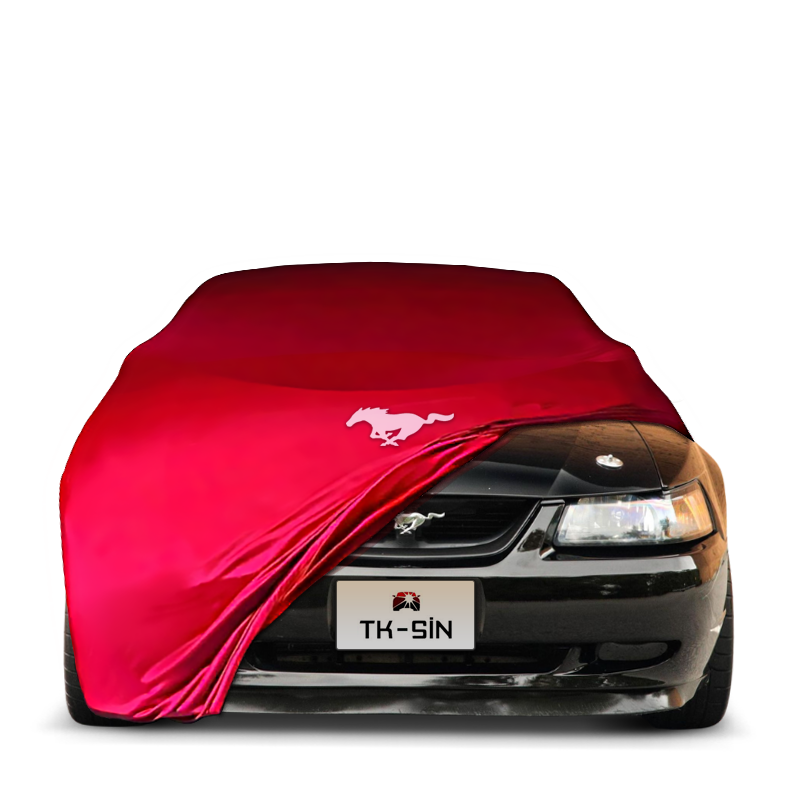 Ford Mustang Convertible 4 (1993-2005)