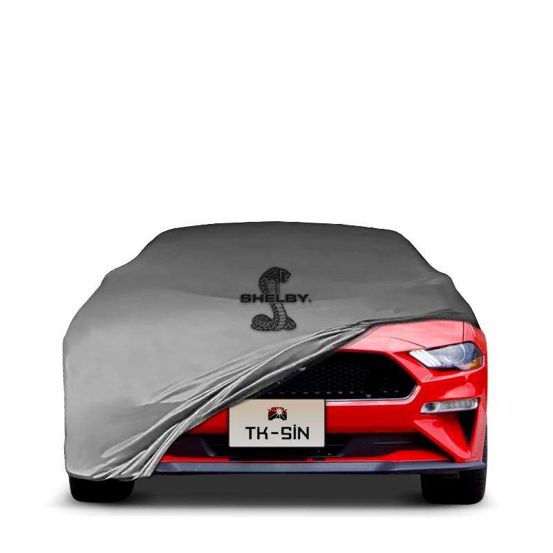 Ford Mustang Convertible 6 (2015-2023)