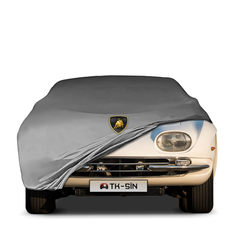 Lamborghini 350 GT (1964-1967)